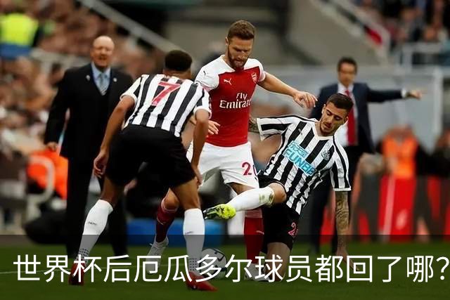 世界杯后厄瓜多尔球员都回了哪？输给墨西哥后他们各归其主