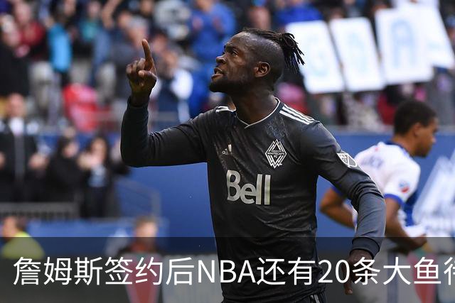 詹姆斯签约后NBA还有20条大鱼待捞：哈登杜伦领衔，超市刚开门